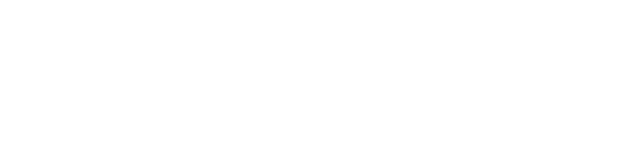 Daily Care Support Services